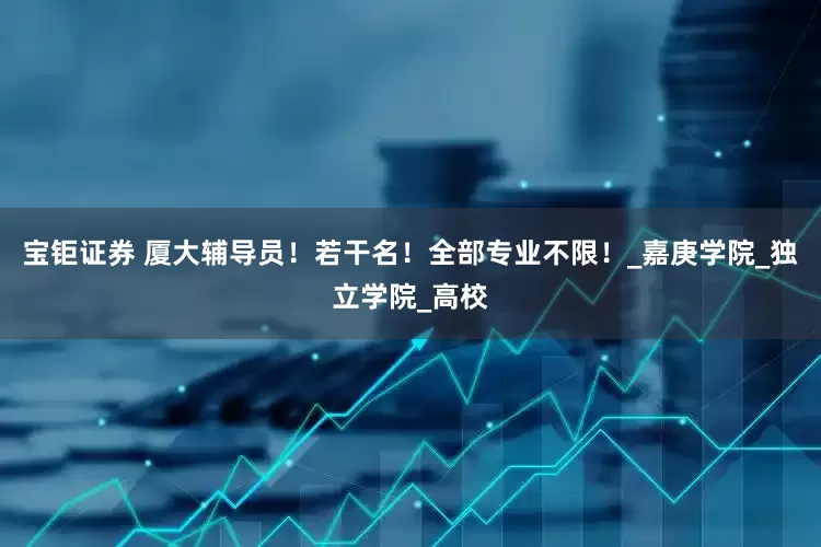 宝钜证券 厦大辅导员！若干名！全部专业不限！_嘉庚学院_独立学院_高校