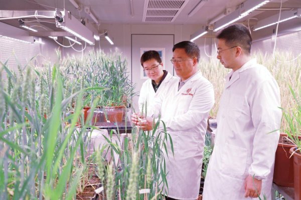 爱策略 潍坊峡山：一座农业科技“硅谷”的人才集聚密码